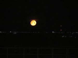 IMG_0192.jpg