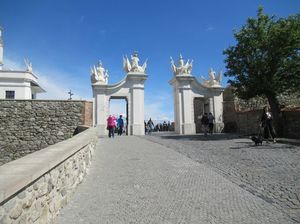 IMG_0205.jpg