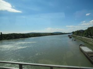IMG_0219.jpg