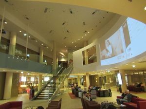 IMG_0255.jpg