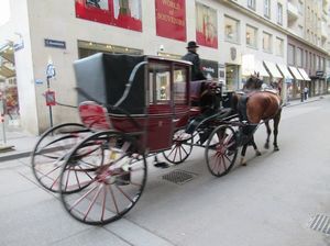 IMG_0337.jpg