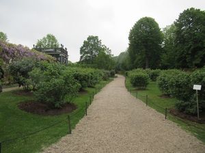IMG_0494.jpg