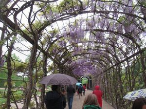 IMG_0496.jpg