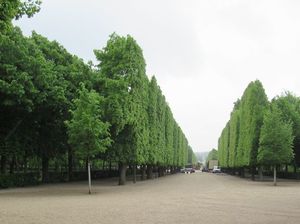 IMG_0513.jpg
