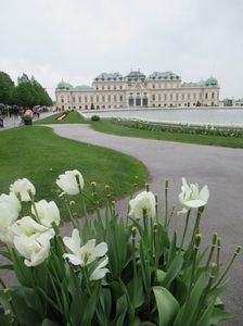 IMG_0555.jpg