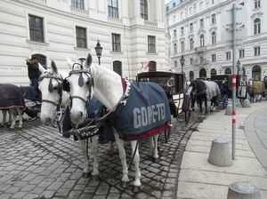 IMG_0695.jpg