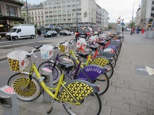 IMG_0825.jpg
