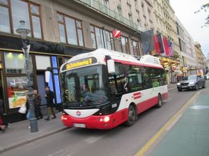 IMG_0827.jpg