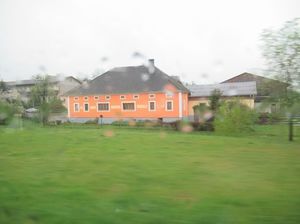 IMG_0901.jpg