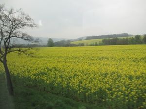 IMG_0934.jpg