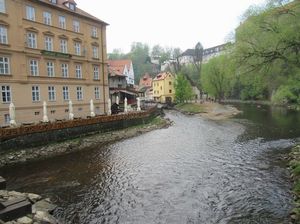 IMG_1042.jpg