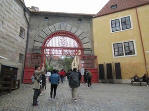 IMG_1043.jpg