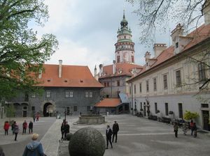 IMG_1086.jpg