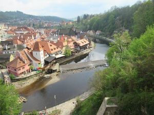 IMG_1115.jpg