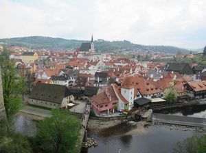 IMG_1118.jpg