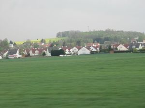 IMG_1161.jpg