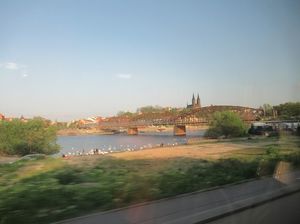 IMG_1185.jpg