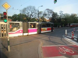 IMG_1198.jpg
