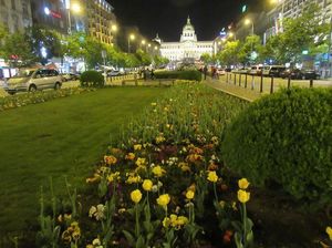 IMG_1262.jpg
