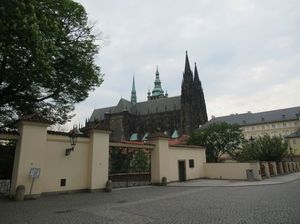 IMG_1316.jpg
