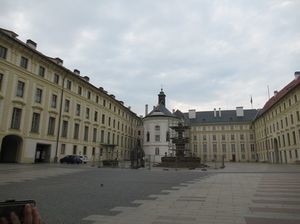 IMG_1320.jpg