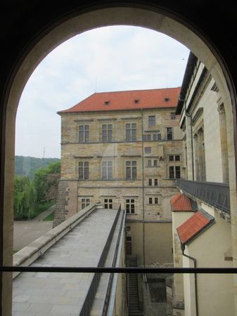 IMG_1463.jpg