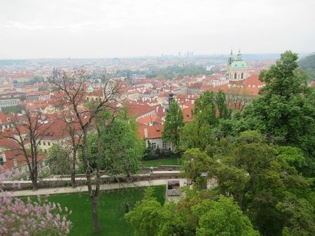 IMG_1466.jpg