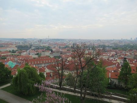 IMG_1467.jpg