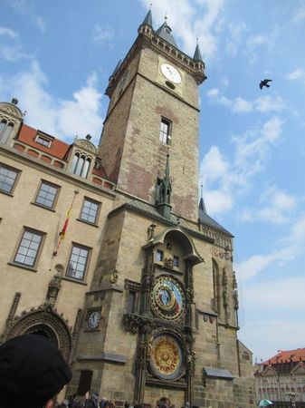 IMG_1677.jpg