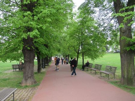 IMG_1868.jpg