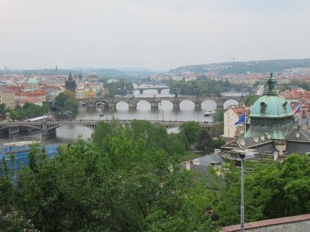 IMG_1876.jpg