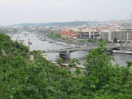 IMG_1882.jpg