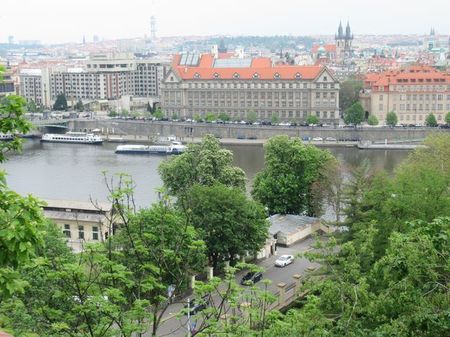 IMG_1884.jpg