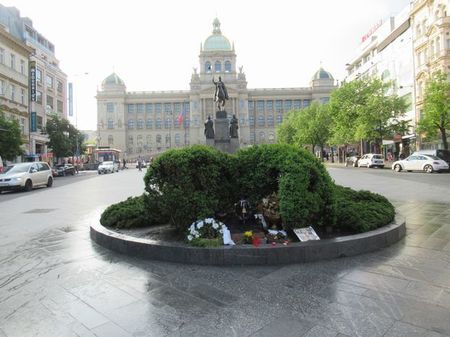 IMG_2042.jpg