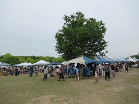 IMG_2265.jpg