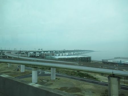 IMG_2341.jpg