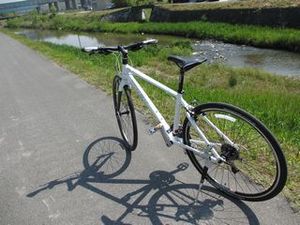 IMG_2512.jpg