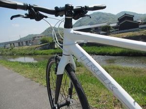 IMG_2513.jpg