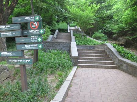 IMG_2737.jpg