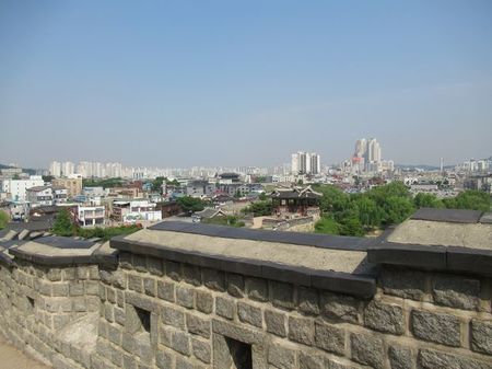 IMG_2916.jpg