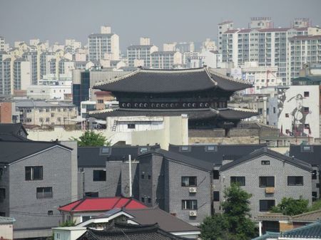 IMG_2917.jpg