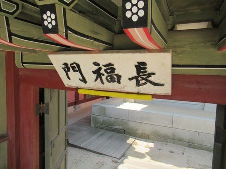 IMG_2982.jpg