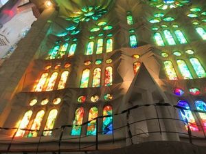 IMG_3243.jpg