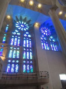 IMG_3246.jpg