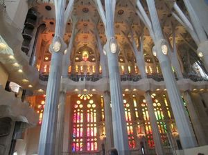 IMG_3247.jpg