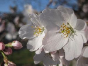 IMG_3253.jpg