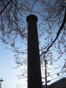 IMG_3254.jpg