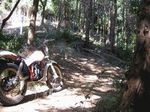 IMG_3270.jpg