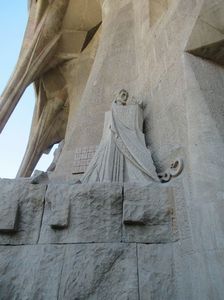 IMG_3286.jpg
