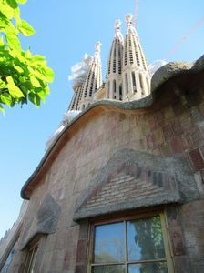 IMG_3304.jpg